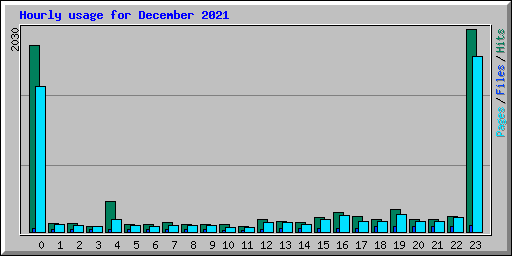 Hourly usage for December 2021