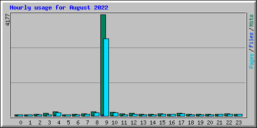 Hourly usage for August 2022