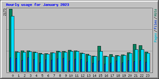Hourly usage for January 2023