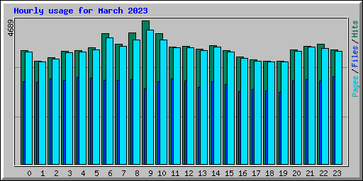 Hourly usage for March 2023