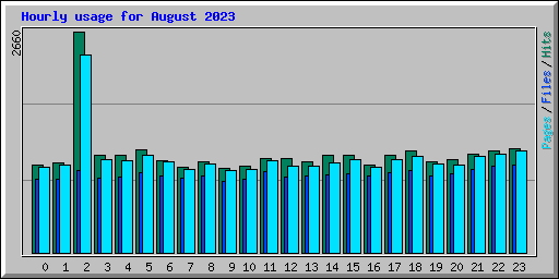 Hourly usage for August 2023